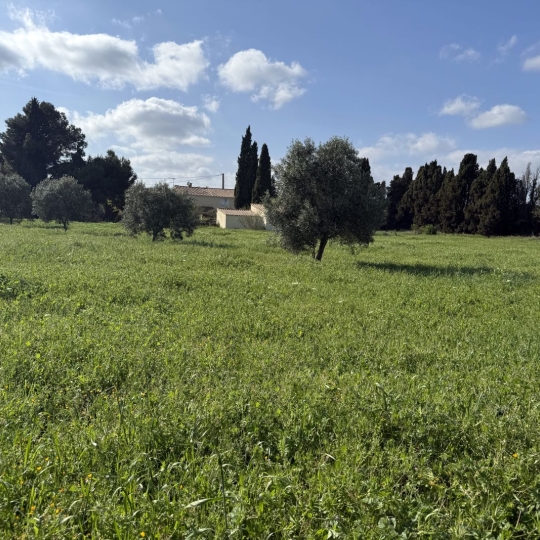  11-34 IMMOBILIER : Maison / Villa | ARGELIERS (11120) | 171 m2 | 345 000 € 