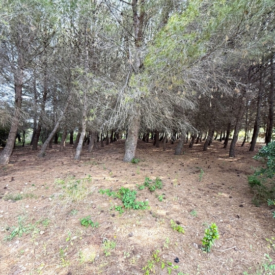  11-34 IMMOBILIER : Ground | ARGELIERS (11120) | 0 m2 | 28 000 € 