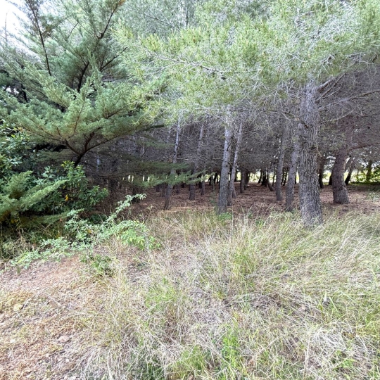  11-34 IMMOBILIER : Ground | ARGELIERS (11120) | 0 m2 | 28 000 € 