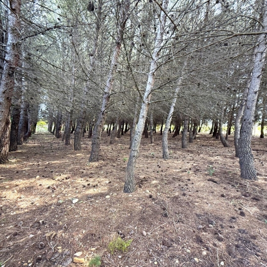  11-34 IMMOBILIER : Ground | ARGELIERS (11120) | 0 m2 | 28 000 € 