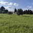  11-34 IMMOBILIER : Maison / Villa | ARGELIERS (11120) | 171 m2 | 345 000 € 