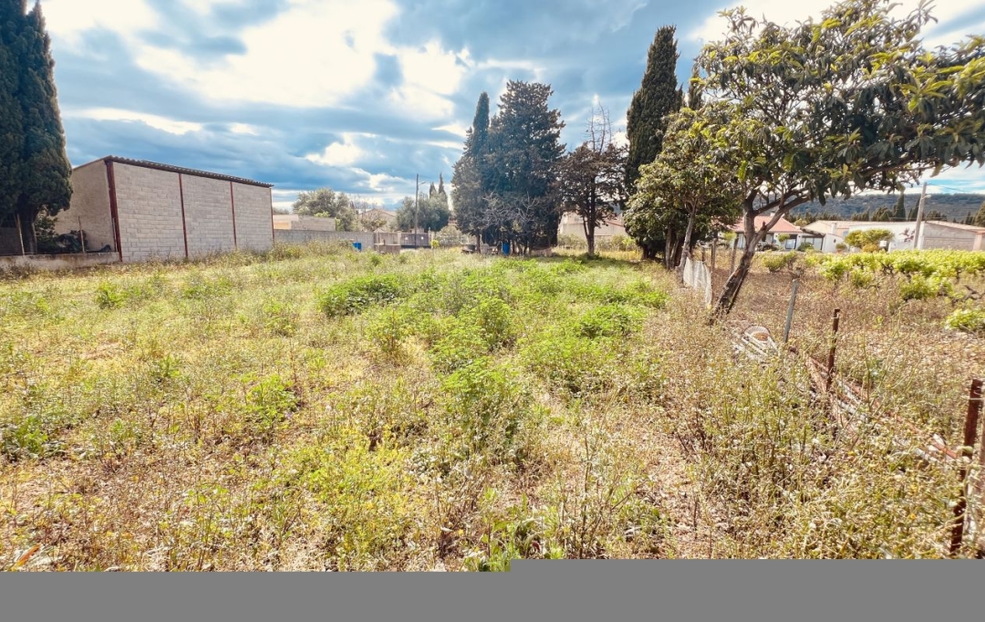 11-34 IMMOBILIER : Terrain | ARGELIERS (11120) | 0 m2 | 128 000 € 