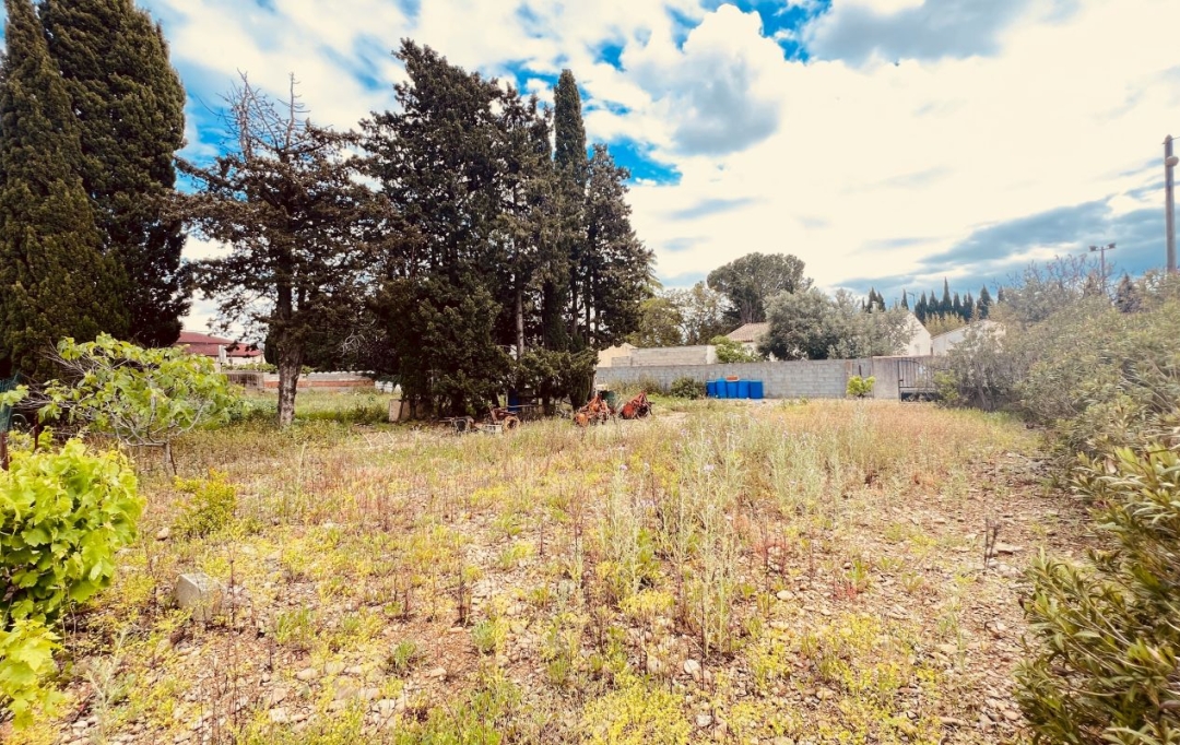 11-34 IMMOBILIER : Terrain | ARGELIERS (11120) | 0 m2 | 128 000 € 