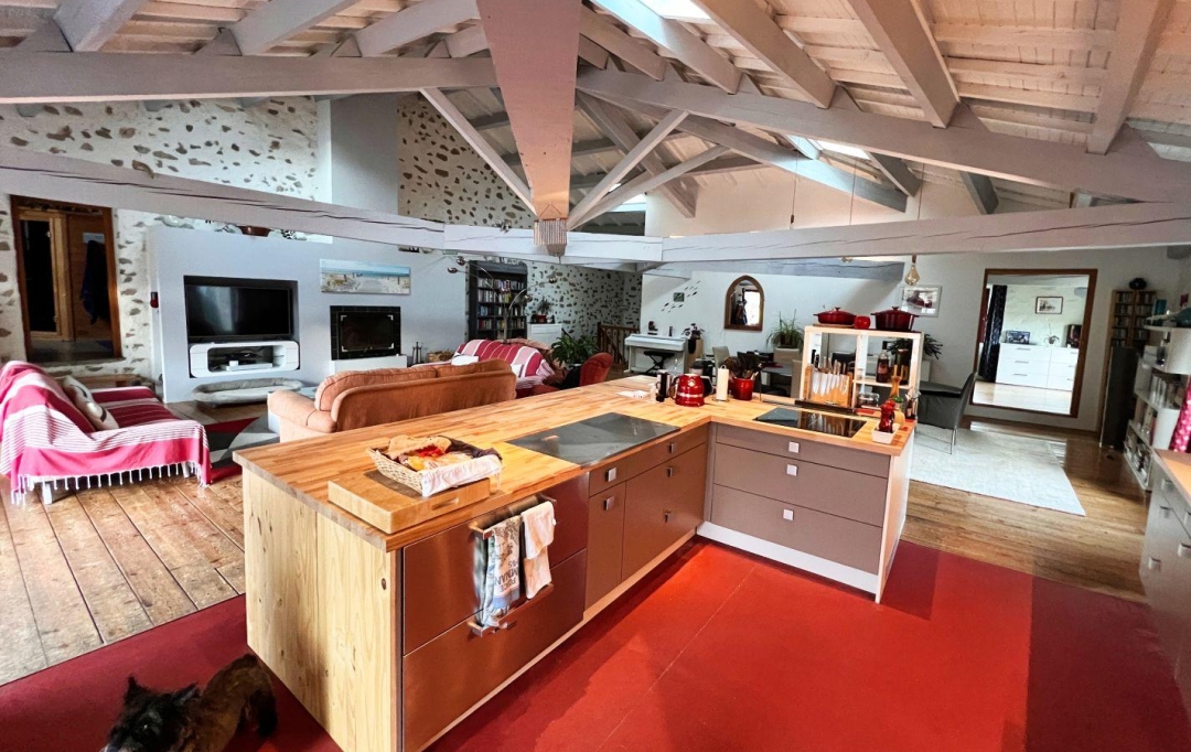 11-34 IMMOBILIER : House | TOUROUZELLE (11200) | 303 m2 | 572 000 € 
