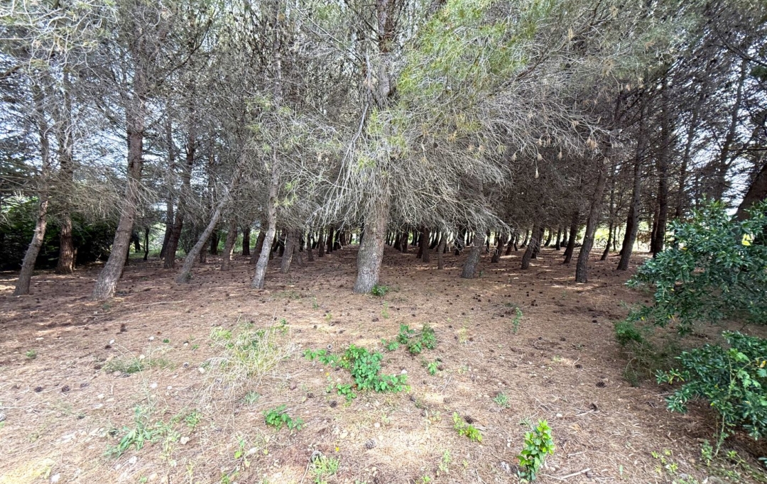 11-34 IMMOBILIER : Ground | ARGELIERS (11120) | 0 m2 | 28 000 € 