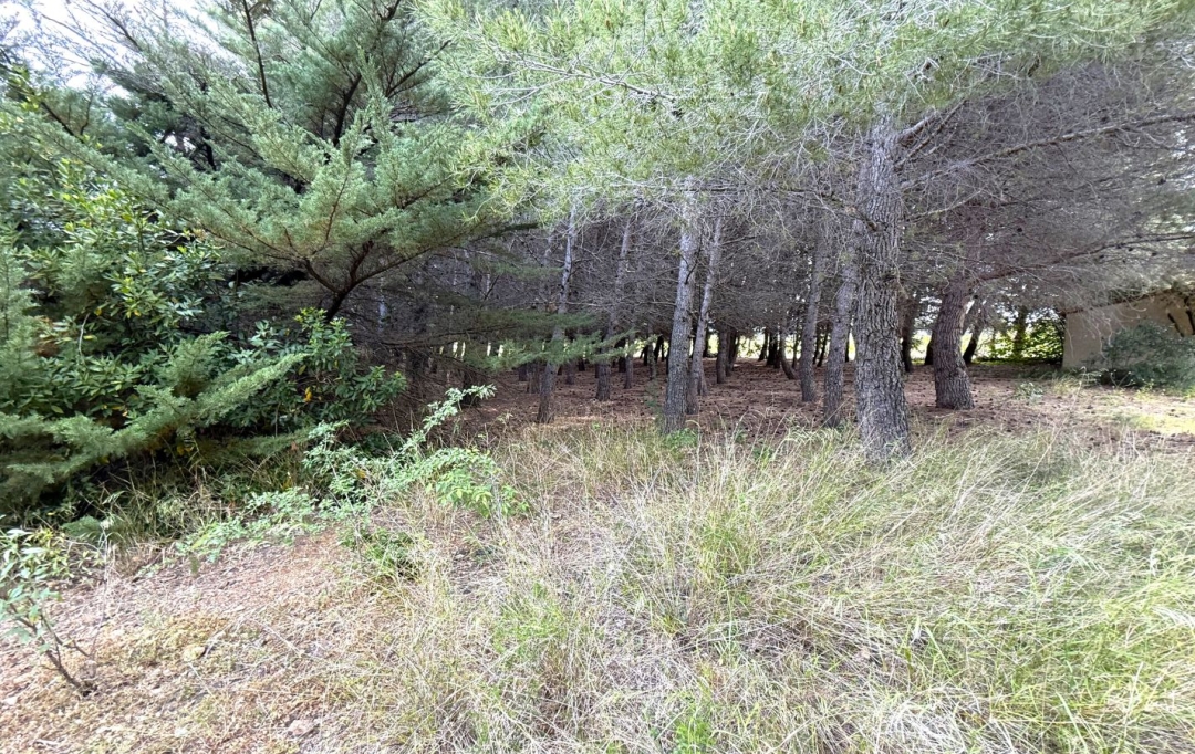 11-34 IMMOBILIER : Ground | ARGELIERS (11120) | 0 m2 | 28 000 € 