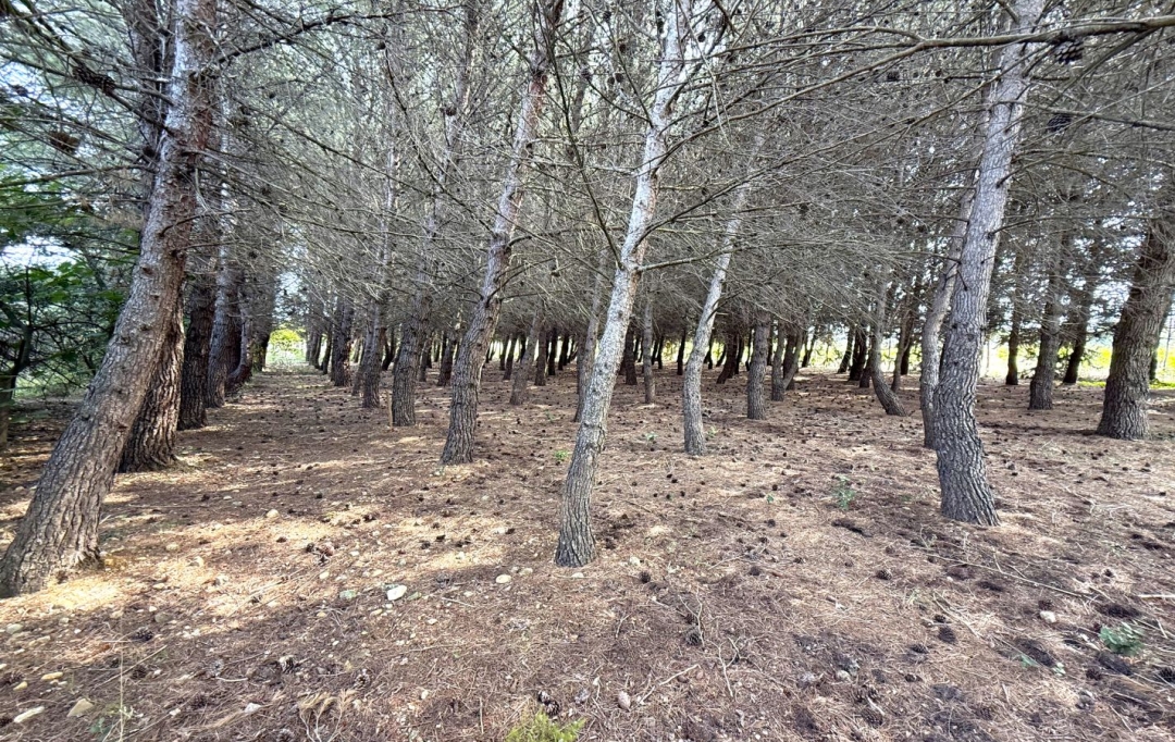 11-34 IMMOBILIER : Ground | ARGELIERS (11120) | 0 m2 | 28 000 € 
