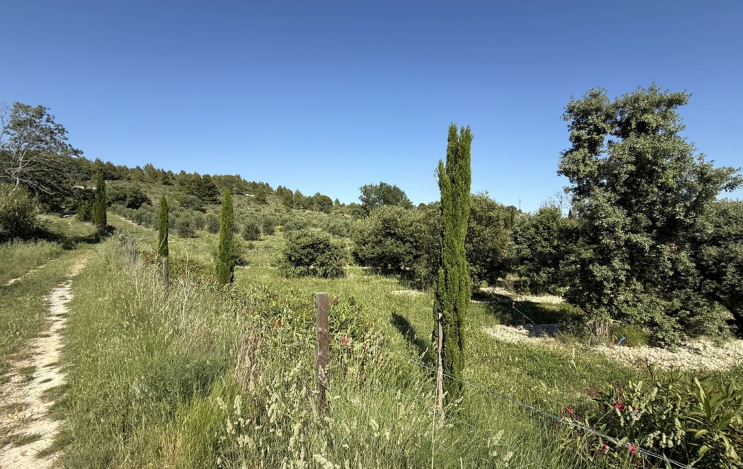 11-34 IMMOBILIER : Maison / Villa | ARGELIERS (11120) | 418 m2 | 1 560 000 &euro; 