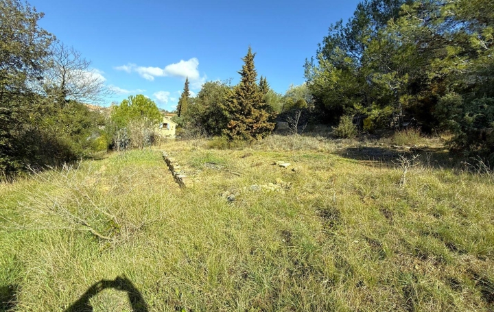  11-34 IMMOBILIER House | AIGUES-VIVES (34210) | 190 m2 | 330 000 € 